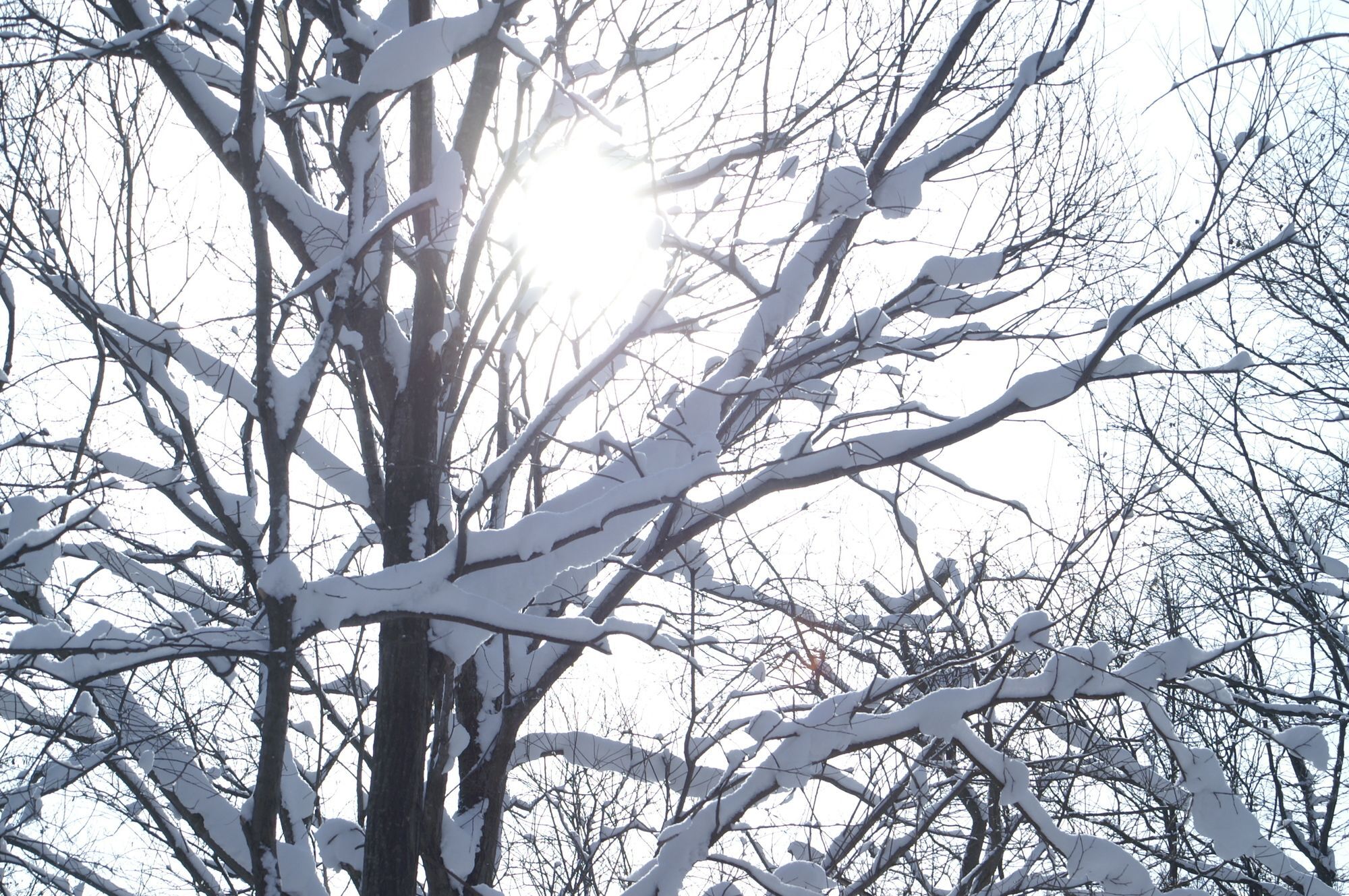 Niseko Prince Hotel Hirafutei Ngoại thất bức ảnh